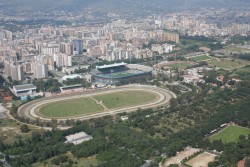 stadio palme palermo