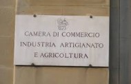 Audizione su riforma Camere di Commercio