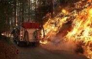 Violenti incendi negli Stati Uniti, sette le vittime nel sud america