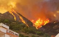 Emergenza incendi è tam tam sul web: i sindaci vietino i fuochi artificiali